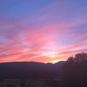 Meet your Posher, Abbey